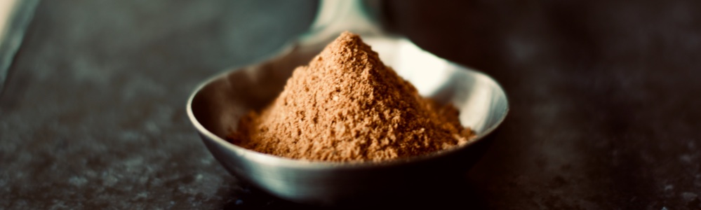 hemp protein powder in a scoop