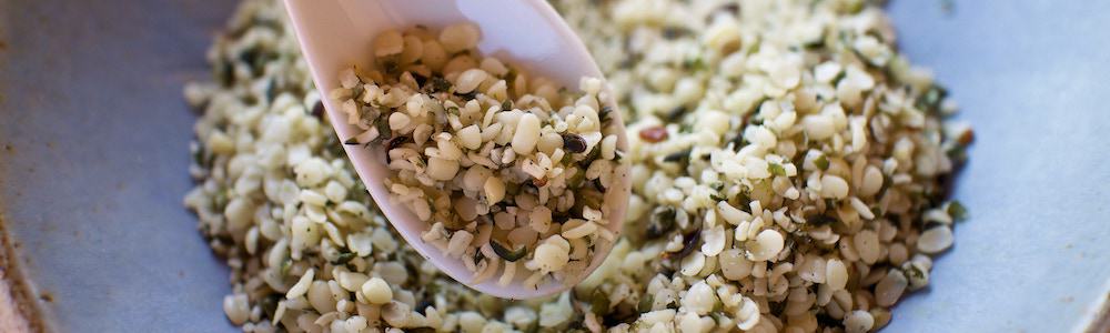 bowl of shelled hemp seeds also called hemp hearts